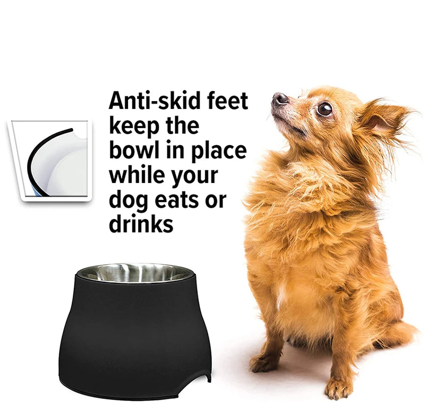 Quality Elevated Bowl for Dogs Stainless Steel Removable Nontoxic Pet Bowl with Stand Dishwasher Safe Puppy Feeding