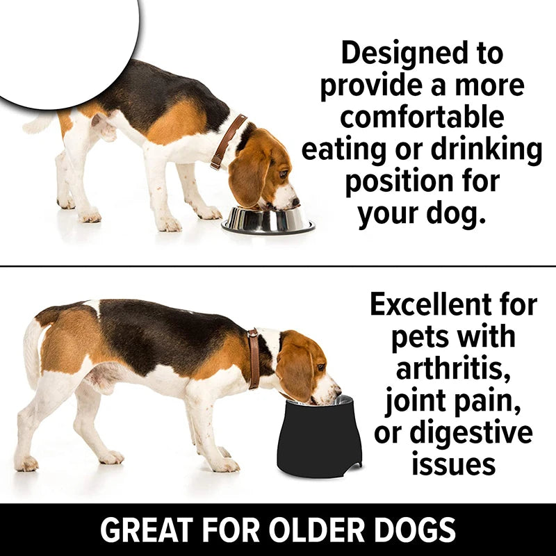 Quality Elevated Bowl for Dogs Stainless Steel Removable Nontoxic Pet Bowl with Stand Dishwasher Safe Puppy Feeding